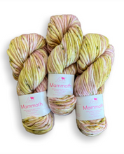 Load image into Gallery viewer, *PRE-ORDER* Baah Yarn Mammoth - My Gal
