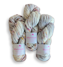 Load image into Gallery viewer, *PRE-ORDER* Baah Yarn Mammoth - Mystic Marble
