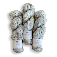 Load image into Gallery viewer, Baah Yarn Sequoia - Beach Glass
