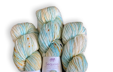 Load image into Gallery viewer, Baah Yarn Sequoia - Fun in the Sun
