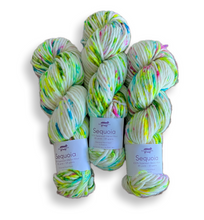 Load image into Gallery viewer, Baah Yarn Sequoia - Birthday Cake
