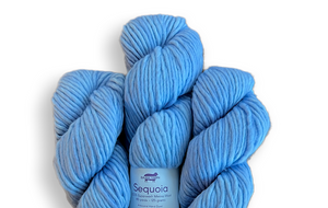 Baah Yarn Sequoia - Prismatic Fanatic