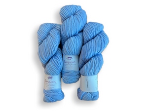 Baah Yarn Sequoia - Prismatic Fanatic