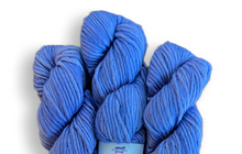 Load image into Gallery viewer, Baah Yarn Sequoia - Too Cool for School
