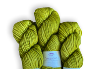 Load image into Gallery viewer, Baah Yarn Sequoia - Irish Moss
