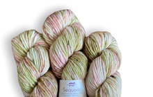 Load image into Gallery viewer, Baah Yarn Sequoia - My Gal
