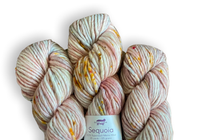 Load image into Gallery viewer, Baah Yarn Sequoia - Puns &#39;n Roses
