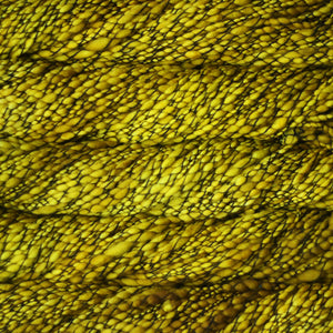 Malabrigo Caracol - Frank Ochre