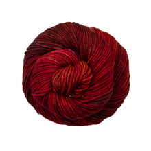 Load image into Gallery viewer, Malabrigo Rios - Aries
