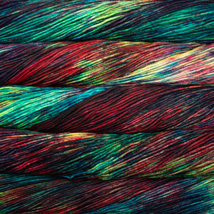 Malabrigo Rios - Camaleon